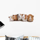 Five Guinea Pigs Wall Decal