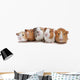 Five Guinea Pigs Wall Decal