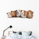 Five Guinea Pigs Wall Decal