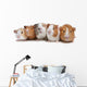 Five Guinea Pigs Wall Decal