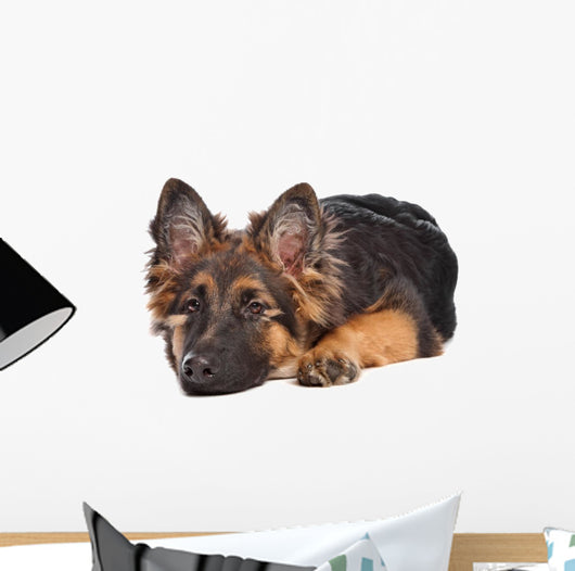 German Shepherd Puppy Wall Decal