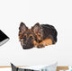 German Shepherd Puppy Wall Decal