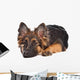 German Shepherd Puppy Wall Decal