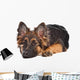 German Shepherd Puppy Wall Decal