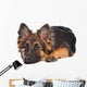 German Shepherd Puppy Wall Decal