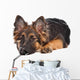 German Shepherd Puppy Wall Decal