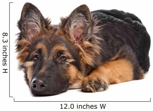 German Shepherd Puppy Wall Decal