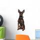 Miniature Pinscher