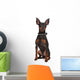 Miniature Pinscher