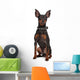Miniature Pinscher