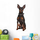 Miniature Pinscher
