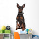 Miniature Pinscher