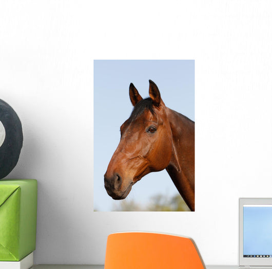 Horsehead