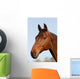 Horsehead