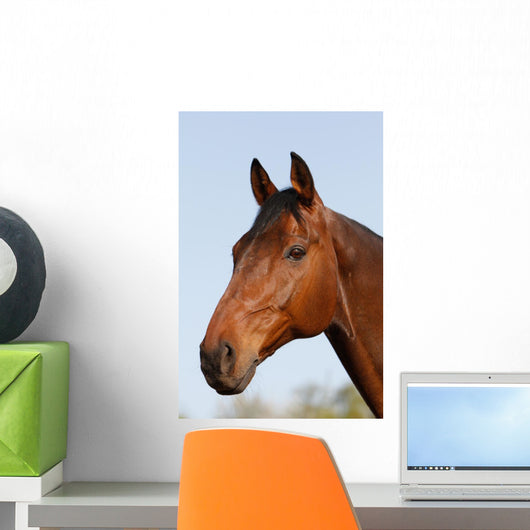 Horsehead