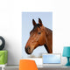 Horsehead
