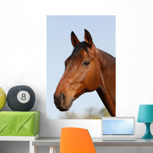 Horsehead