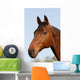 Horsehead