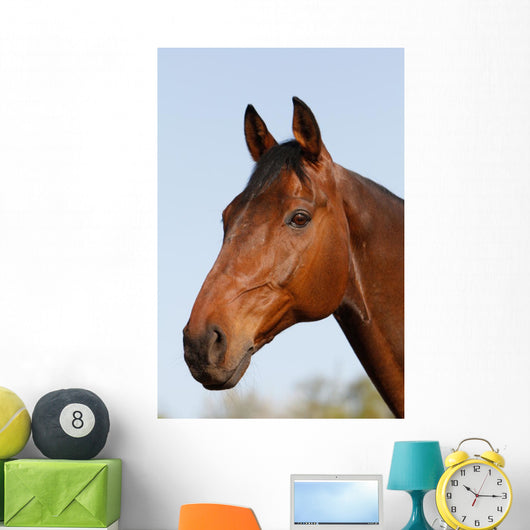 Horsehead