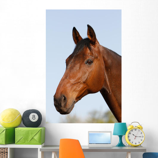 Horsehead