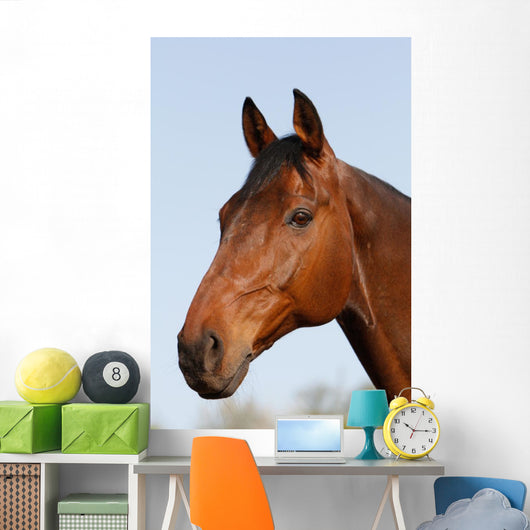 Horsehead