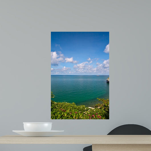 Beautiful Coast With Trees and Blue Sky Wall Mural