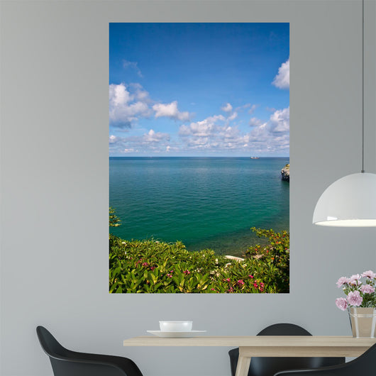 Beautiful Coast With Trees and Blue Sky Wall Mural