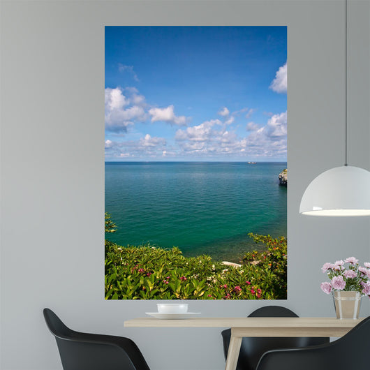 Beautiful Coast With Trees and Blue Sky Wall Mural
