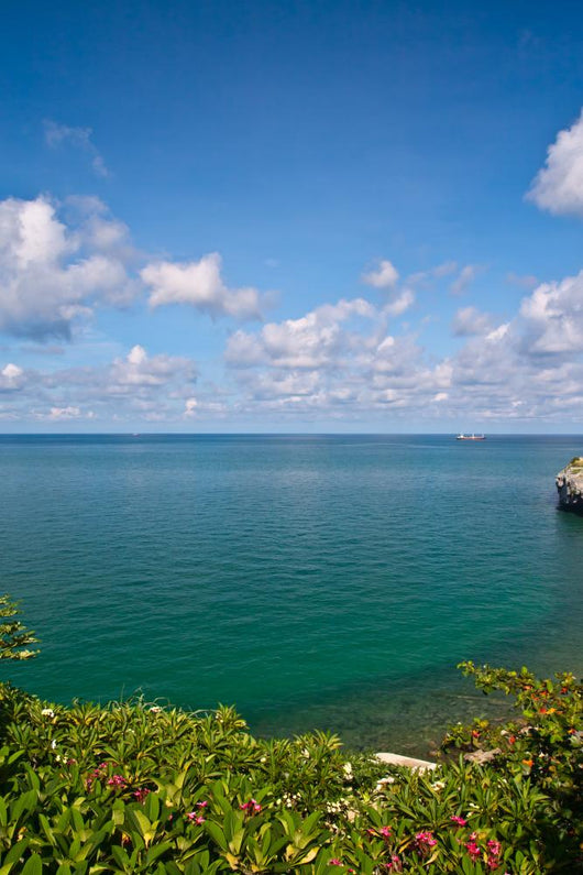 Beautiful Coast With Trees and Blue Sky Wall Mural