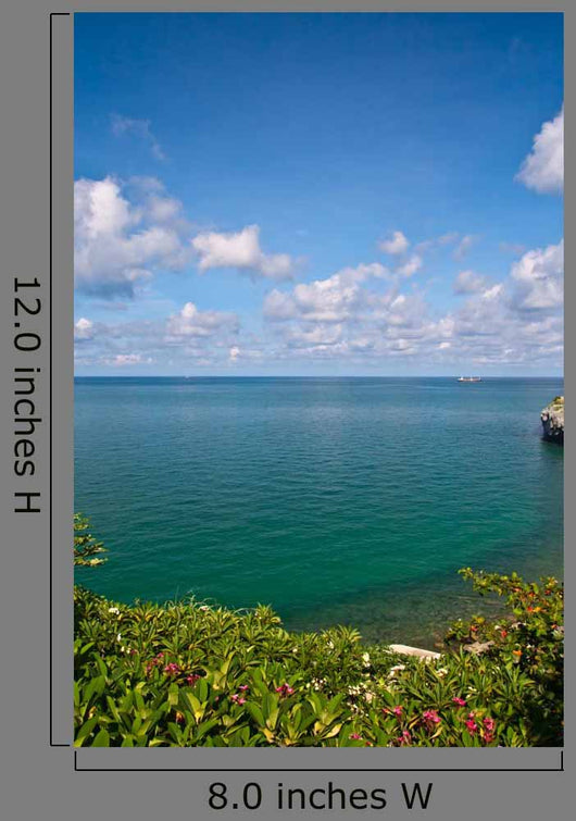 Beautiful Coast With Trees and Blue Sky Wall Mural
