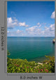 Beautiful Coast With Trees and Blue Sky Wall Mural