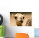 one hump camel or ship of the desert Wall Mural
