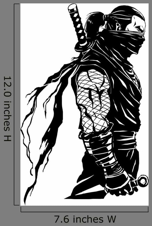 Shinobi Ninjas