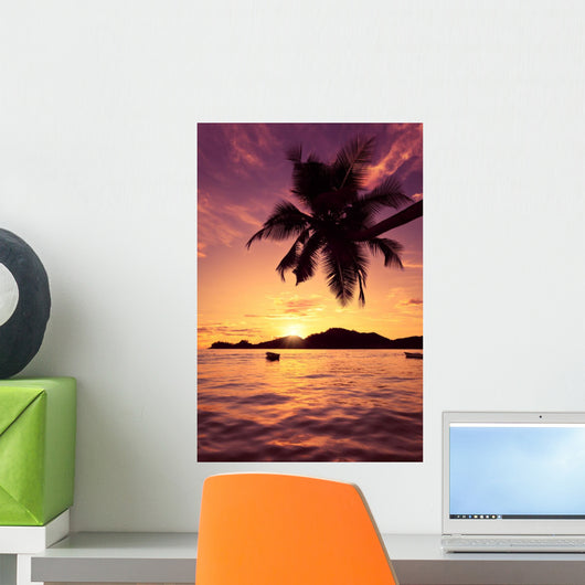 Sun Coated Seychelles