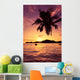 Sun Coated Seychelles