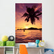 Sun Coated Seychelles