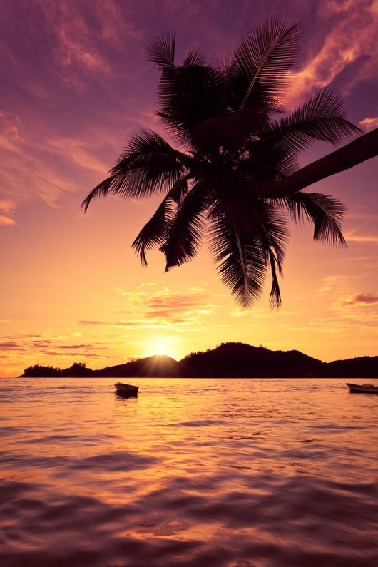 Sun Coated Seychelles