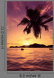 Sun Coated Seychelles
