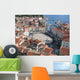 Market Square from Top Wall Decal