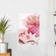 Princess cookies Wall Mural