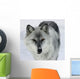 Gray Wolf Wall Mural