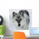 Gray Wolf Wall Mural