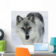 Gray Wolf Wall Mural