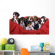 Nine Small Beagle Puppies in Basket Wall Decal