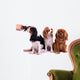 three Sitting Dog Grooming in Wall Decal