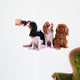 three Sitting Dog Grooming in Wall Decal