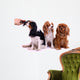 three Sitting Dog Grooming in Wall Decal
