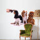 three Sitting Dog Grooming in Wall Decal