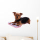 Lying Dog Yorkshire with Wall Decal
