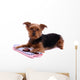 Lying Dog Yorkshire with Wall Decal